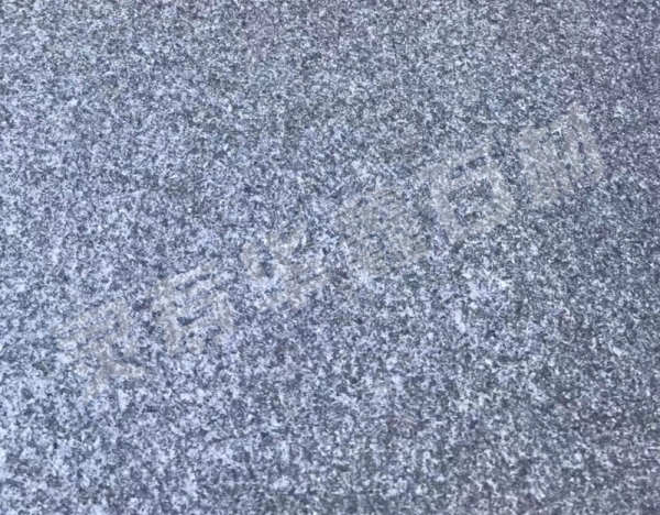 濱州青哪家好